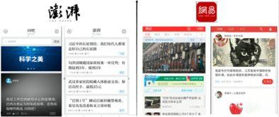 新闻爆料设计案例分析,揭秘事件真相与媒体责任 第1张 新闻爆料设计案例分析,揭秘事件真相与媒体责任 第1张