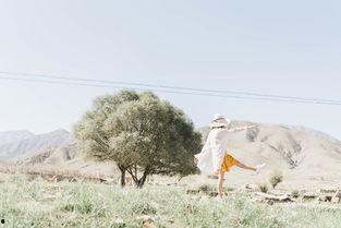 春风自驾游爆料视频,探寻绝美风景,畅享自由之旅 第3张 春风自驾游爆料视频,探寻绝美风景,畅享自由之旅 第3张