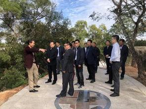 碣石镇爆料新闻,揭秘事件背后真相